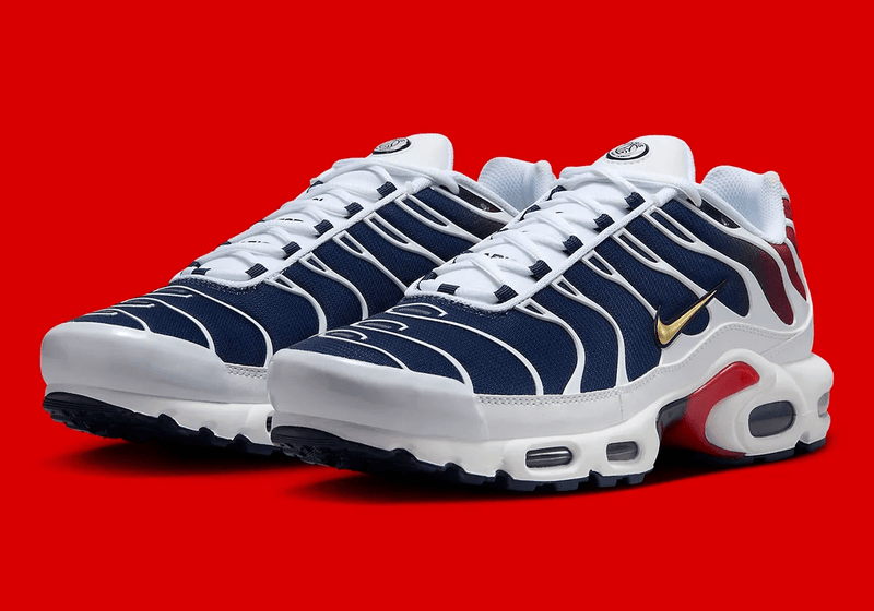 Air Max TN - PSG