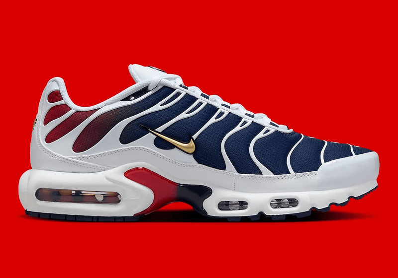 Air Max TN - PSG