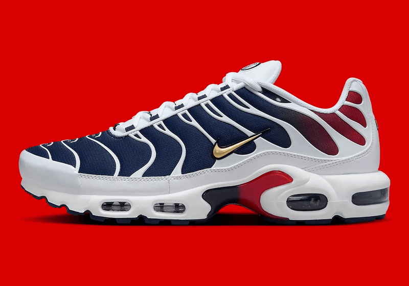 Air Max TN - PSG