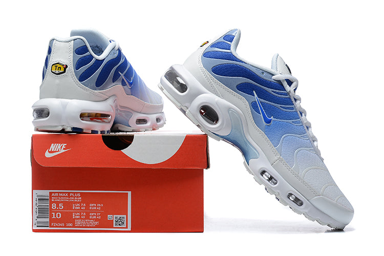 Nike Air Max PLUS